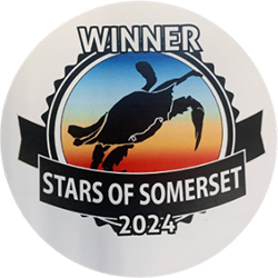 Winner Stars of Somerset Logo