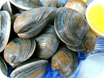 Little Neck Clams (50-cnt)