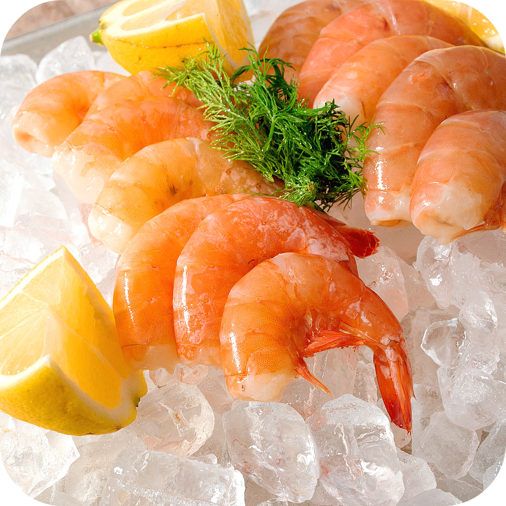 Jumbo Shrimp Cocktail | Large Gulf Shrimp | Cameron's Seafood